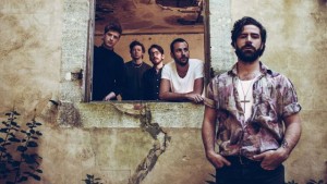 foals