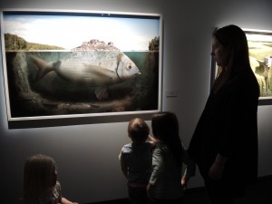 Fotogr. startbild