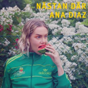 anadiaz_nastandar