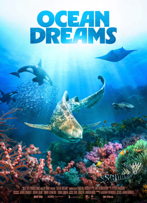 Ocean Dreams